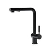 TORVA Single Handle Pull-Down Kitchen Faucet - All Black