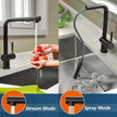 TORVA Single Handle Pull-Down Kitchen Faucet - All Black